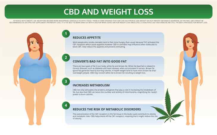 How to use CBD oil for weight loss